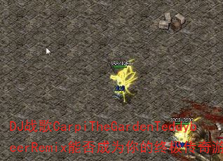 DJս��CarpiTheGardenTeddybeerRemix�ܷ��Ϊ����ռ�������Ϸս�裿