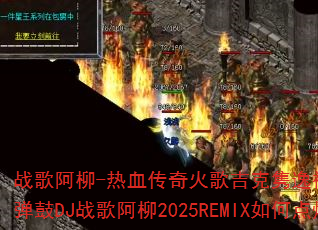 ս�谢��-��Ѫ�����輪�����ݱ���Funkyhouse����DJս�谢��2025REMIX��ε�ȼ��Ϸս����