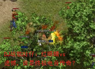 DJս��Ҷ�У����۾�vs�ź���˭���ռ��������棿