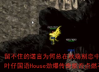 ����ס��ŵ��Ϊ������������������飿DJս��Ҷ�й���House���������ܷ��ȼ�������ԣ�
