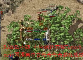 DJ战歌小雄-小阿枫还有我FunkyHouse国语男中文传奇传奇游戏战歌? DJ战歌小雄-小阿枫还有我FunkyHouse国语男中文传奇传奇游戏战歌?