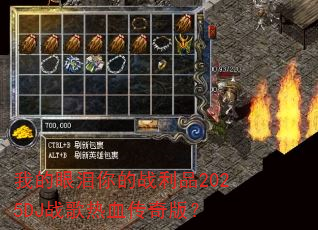 �ҵ��������ս��Ʒ2025DJս����Ѫ����棿