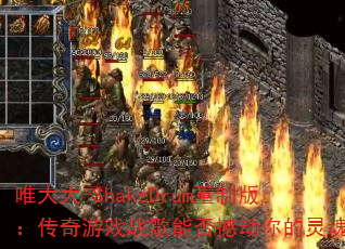 Ψ���-ShakeDrum���ư棺������Ϸս���ܷ񺳶������ꣿ