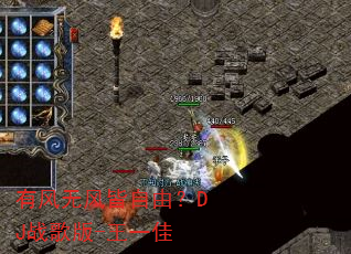 有风无风皆自由?DJ战歌版-王一佳 有风无风皆自由?DJ战歌版-王一佳