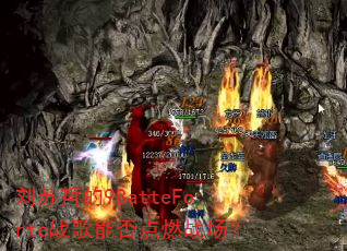 �����ܵ�9BatteForteս���ܷ��ȼս����