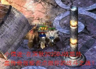 С����-������2025DJս����Ѫ������ܷ��ȼ���ս��֮�ꣿ
