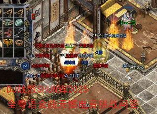 DJս��SHUN��2025ȫ��������޺�������ս�ʴ�