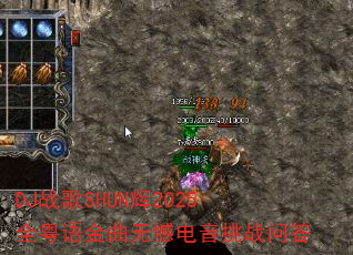 DJս��SHUN��2025ȫ��������޺�������ս�ʴ�
