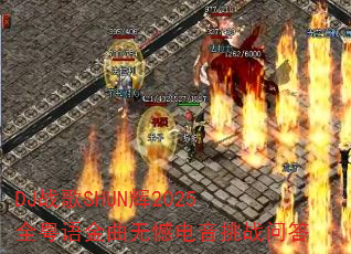 DJս��SHUN��2025ȫ��������޺�������ս�ʴ�