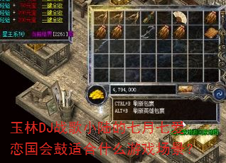 ����DJս��С½�������߰���������ʺ�ʲô��Ϸ������