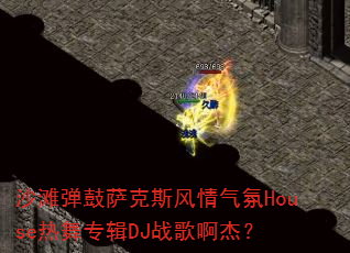 ɳ̲��������˹��������House����ר��DJս�谡�ܣ�