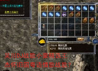 �⴨DJս��С����ѡ���ܻ��ɹ��������ս�裿