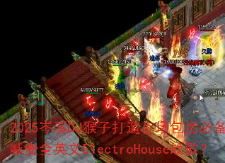 2025�ϪDJ���Ӵ���ҹ�������ر�MC����ȫӢ��ElectroHouseս�裿