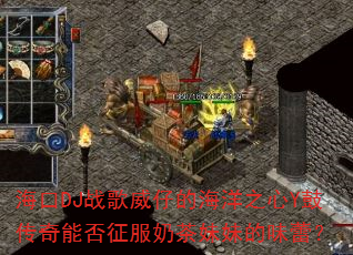 ����DJս�����еĺ���֮��Y�Ĵ����ܷ������̲����õ�ζ�٣�