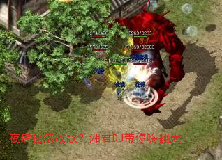 ҹ��ҡ��ս�裿���DJ�����˷���