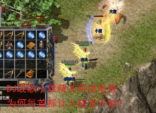 DJս��С�۾�ѡ��������Ϊ��ÿ�׶��������ղ��ܣ�
