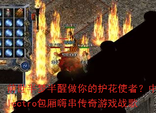 ǰ�����ΰ�������Ļ���ʹ�ߣ�����Electro�����˴�������Ϸս��