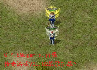C.Y.SMegamix.音乐传奇游戏VOL.02战歌挑战? C.Y.SMegamix.音乐传奇游戏VOL.02战歌挑战?