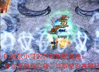 DJս��С��2009�ھ�MC���󣺵���ȵ�����ʹ��ս���ܷ����ƿ񳱣�