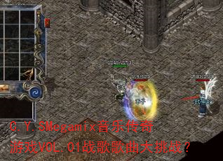 C.Y.SMegamix���ִ�����ϷVOL.01ս���������ս��