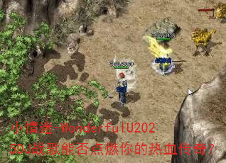 С����-WonderfulU2025DJս���ܷ��ȼ�����Ѫ���棿