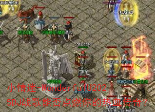 С����-WonderfulU2025DJս���ܷ��ȼ�����Ѫ���棿