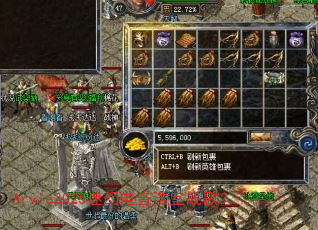 Arvie2025�Իõ�������ս�裿