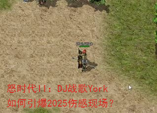 怒时代II:DJ战歌York如何引爆2025伤感现场? 怒时代II:DJ战歌York如何引爆2025伤感现场?