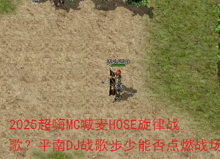 2025����MC����HOSE����ս�裿ƽ��DJս�貽���ܷ��ȼս����