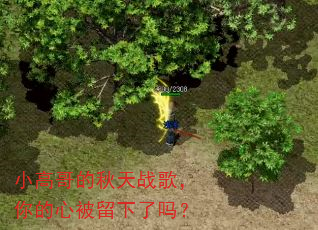 小高哥的秋天战歌,你的心被留下了吗? 小高哥的秋天战歌,你的心被留下了吗?
