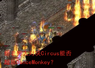 �������˶Ծ�Circus�ܷ�ԽDanceMonkey��