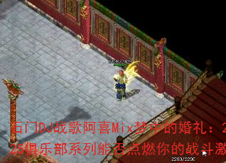 ʯ��DJս�谢ϲMix���еĻ���2025���ֲ�ϵ���ܷ��ȼ���ս�����飿