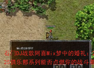 ʯ��DJս�谢ϲMix���еĻ���2025���ֲ�ϵ���ܷ��ȼ���ս�����飿