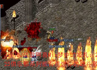 ʯ��DJս�谢ϲMix���еĻ���2025���ֲ�ϵ���ܷ��ȼ���ս�����飿
