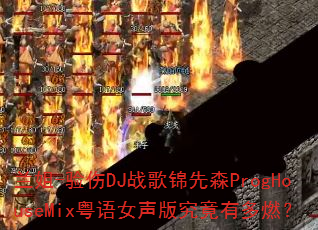 ����-����DJս�����ɭProgHouseMix����Ů���澿���ж�ȼ��
