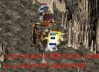 2025�궫������������ŷ��С����Disco���߻�����������ר����