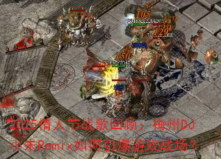 2025���˽�ս��عˣ�÷��DJС��Remix���������Ϸս����