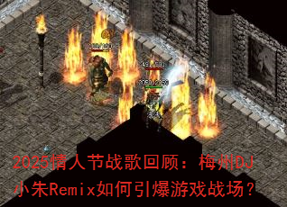 2025���˽�ս��عˣ�÷��DJС��Remix���������Ϸս����
